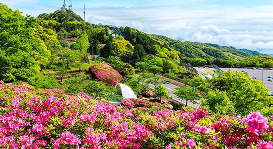 稲佐山公園